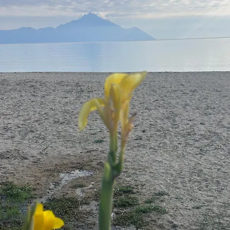 Αvli villa Sarti 3 Appartamento