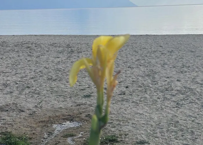 Αvli villa Sarti 3 Appartamento